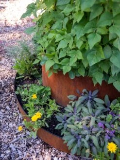 Birdies™ Corten Steel Tiered Round Raised Bed Kit, Tall -Optimal Garden Care 8613245 0195