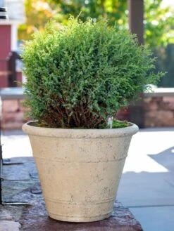 Self-Watering LavaStone® Anson Pot -Optimal Garden Care 8613255 0144