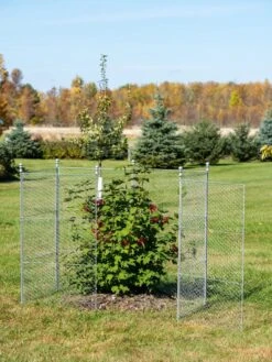 Tall Chicken Wire Critter Fence Extension Panel, Set Of 2