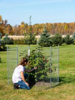 Tall Chicken Wire Critter Fence Extension Panel, Set Of 2 -Optimal Garden Care 8613260 0044 1