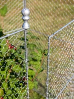 Tall Chicken Wire Critter Fence With Gate -Optimal Garden Care 8613260 0083