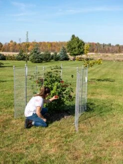 Tall Chicken Wire Critter Fence Extension Panel, Set Of 2 -Optimal Garden Care 8613260 0090