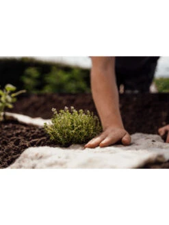 Hortiwool ®, Starter Garden Pad -Optimal Garden Care 8613263 09v