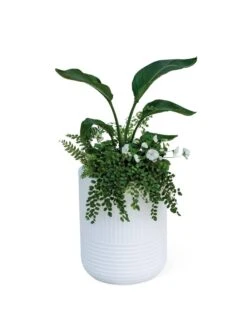 Arden Round Planter -Optimal Garden Care 8613267 0115
