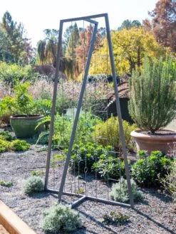 Pilar Free Standing Trellis -Optimal Garden Care 8613316 5164
