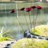 Red Poppy Sways, Set Of 5 -Optimal Garden Care 8613343 2 red poppy sways set of 5