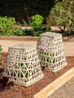 Bamboo Cloche, Set Of 2 -Optimal Garden Care 8613351 0150 bamboo cloche set of 2
