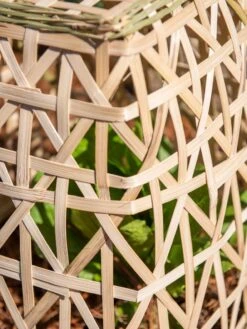 Bamboo Cloche, Set Of 2 -Optimal Garden Care 8613351 0153