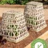 Bamboo Cloche, Set Of 2 -Optimal Garden Care 8613351 12