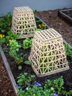 Bamboo Cloche, Set Of 2 -Optimal Garden Care 8613351 6766