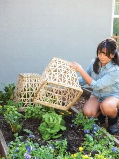 Bamboo Cloche, Set Of 2 -Optimal Garden Care 8613351 6862