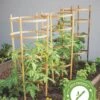 Bamboo Tomato Cages, Set Of 3 -Optimal Garden Care 8613426 7