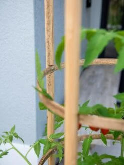 Elevated Bamboo Tomato Planter And Trellis -Optimal Garden Care 8613502 0423