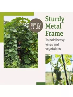 Titan Squash Tunnel 13 Titan Squash Tunnel -Optimal Garden Care B07932DMCR plantsupport benefits 2