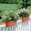 2' X 4' Railing Planter, 25" -Optimal Garden Care GS34336 01 24 inch 2x6 railing planters