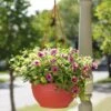 Self-Watering Hanging Basket -Optimal Garden Care GS34368 10 tif