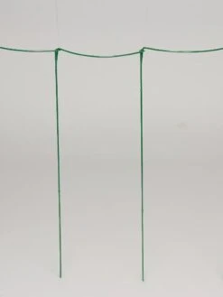 Curved Linking Stakes -Optimal Garden Care GS35241 04S tif