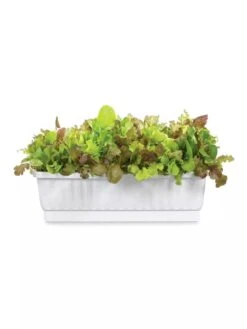 31" Self-Watering Window Box -Optimal Garden Care GS36523 01Z 3 4