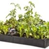 Grow Bed Extension Kit 2 Grow Bed Extension Kit -Optimal Garden Care GS37503 01 tif