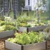 Sustainable Raised Beds -Optimal Garden Care GS38653 02 tif