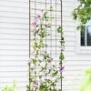 Jardin Flower Trellis -Optimal Garden Care GS38689 02 tif