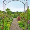 Jardin Rose Arch -Optimal Garden Care GS38690 02 rose trellis tif