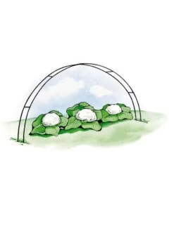 Super Hoops, Set Of 6 -Optimal Garden Care GS39423 02S 3 4