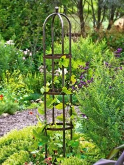 Jardin Bird Cage Support, 26" -Optimal Garden Care GS39529 01 tif