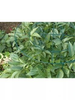 Grow Through Supports, Set Of 3 -Optimal Garden Care GS40172 01 1