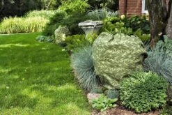 ShrubJacket Covers -Optimal Garden Care gs39166 02