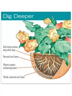 Optimal Garden Care -Optimal Garden Care hiw 38 583 jpg 1