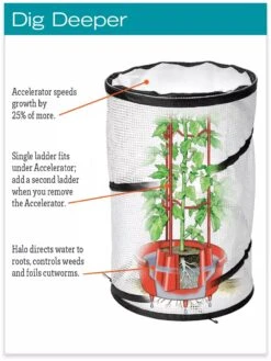 Tomato TLC Kits, Set Of 3 -Optimal Garden Care hiw 8594214 jpg